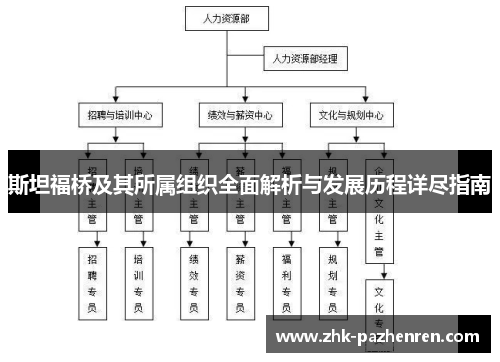 斯坦福桥及其所属组织全面解析与发展历程详尽指南