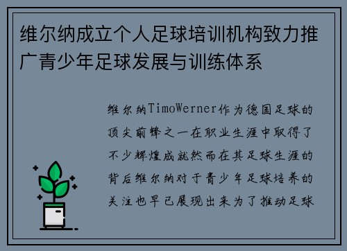 维尔纳成立个人足球培训机构致力推广青少年足球发展与训练体系